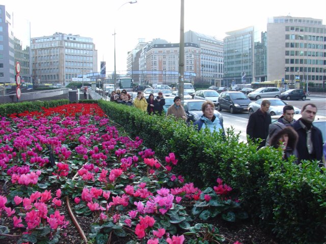 dsc02290.jpg