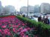 dsc02290_small.jpg