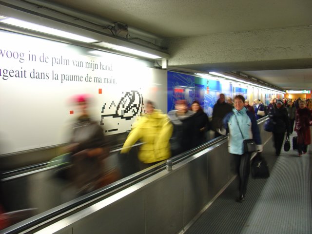 dsc02381.jpg