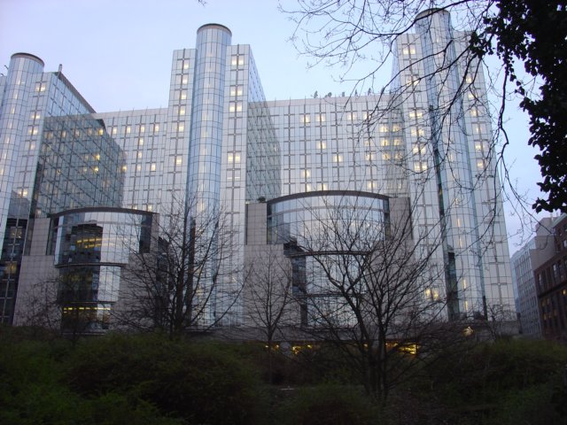 dsc02384.jpg