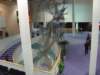 dsc02395_small.jpg